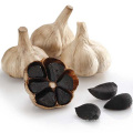 HALAL Certified Organic Fermented Black Garlic